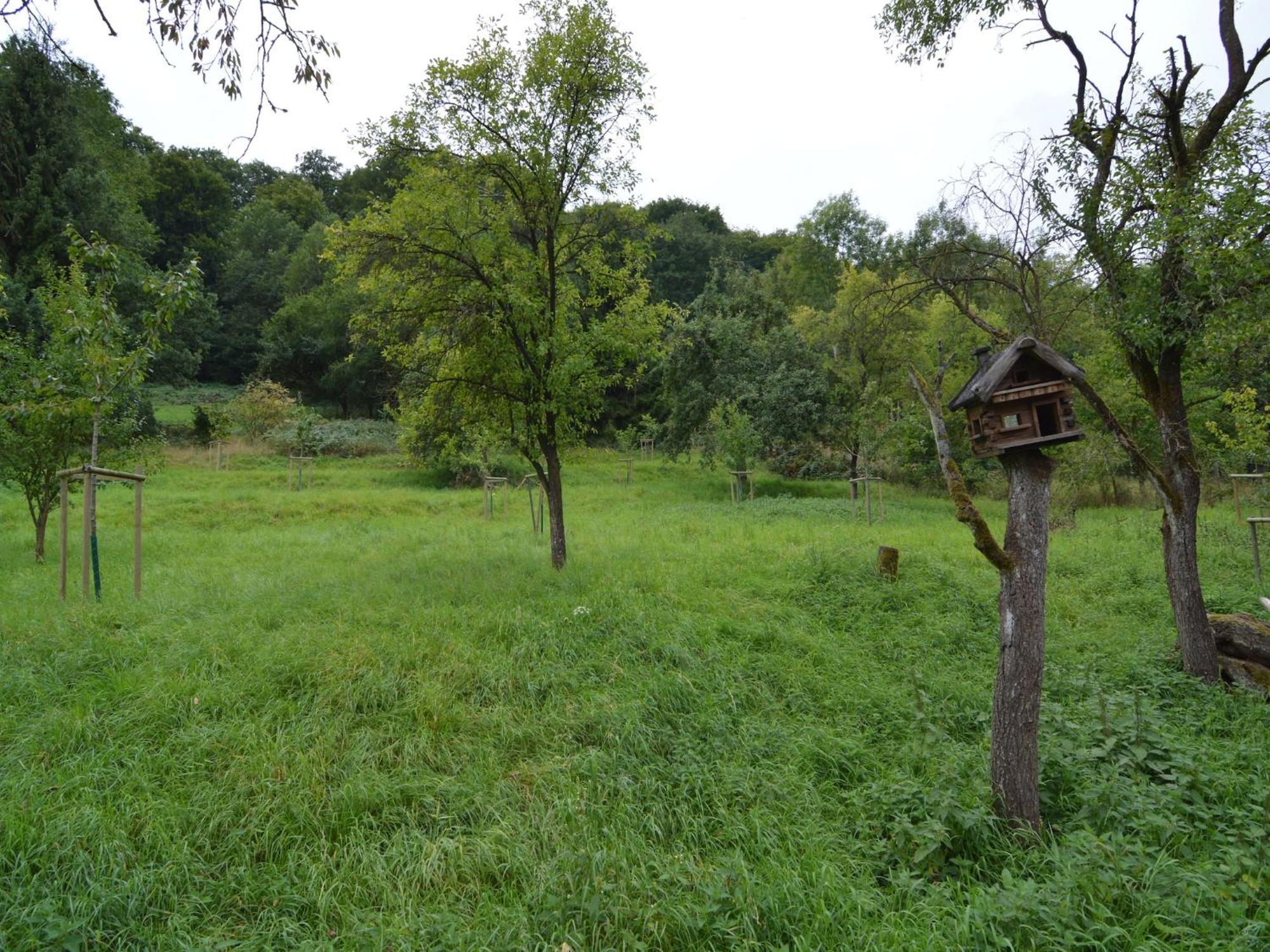 Cozy Apartment In Immerath With Fishing Near Zewnętrze zdjęcie
