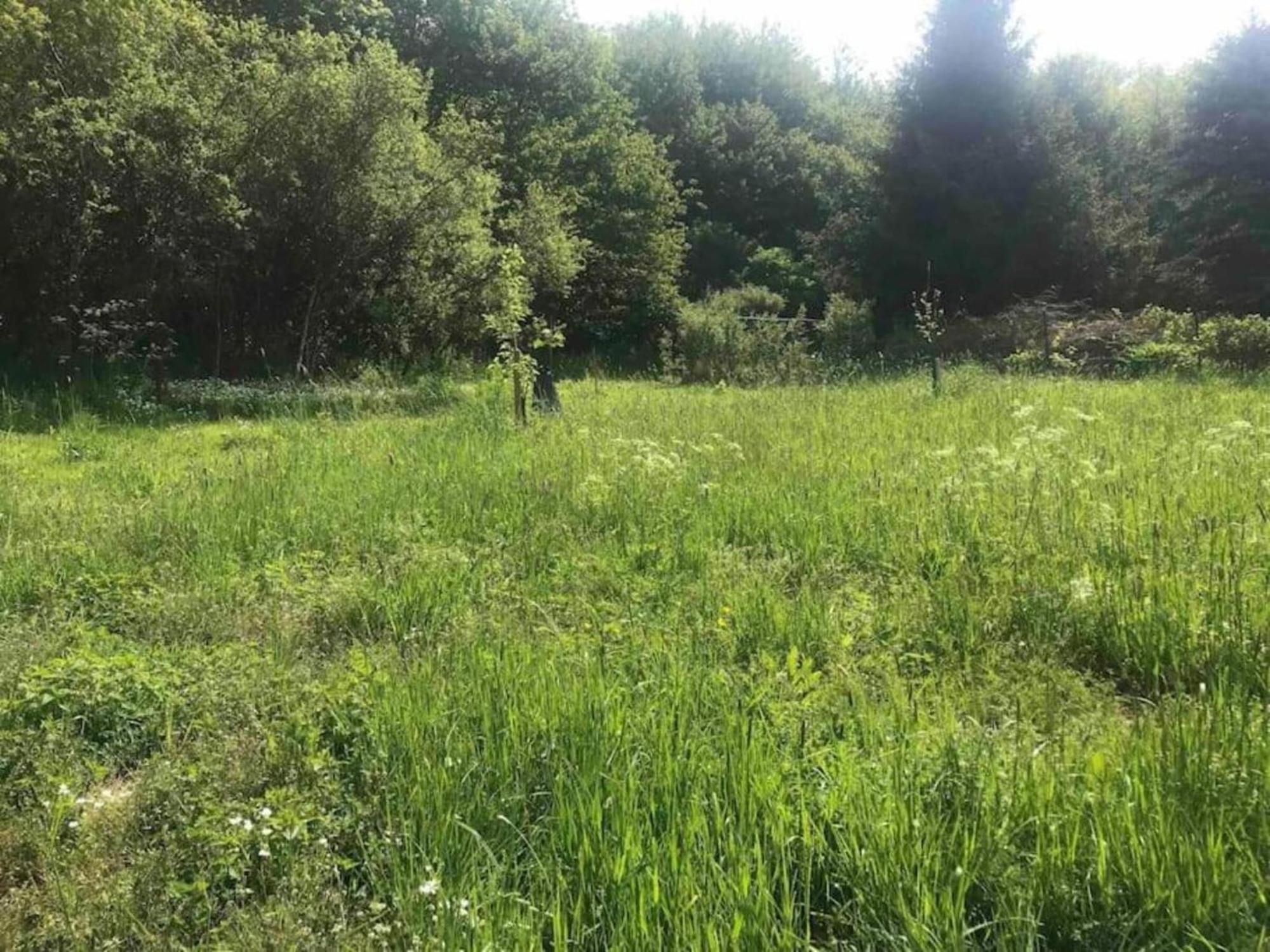 Cozy Apartment In Immerath With Fishing Near Zewnętrze zdjęcie